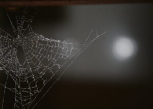 haxonite.deviantart.com
