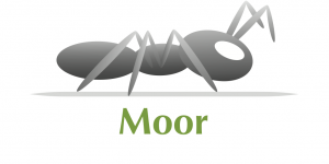 لوگوی مور - سامانه رتبه‌بندی لینکدین